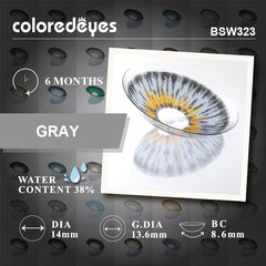 Champagne Gray – 6 Months(2pc)