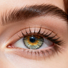 Champagne Gray – 6 Months(2pc)