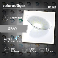 Classic Gray – 6 Months