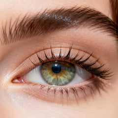 Classic Gray – 6 Months