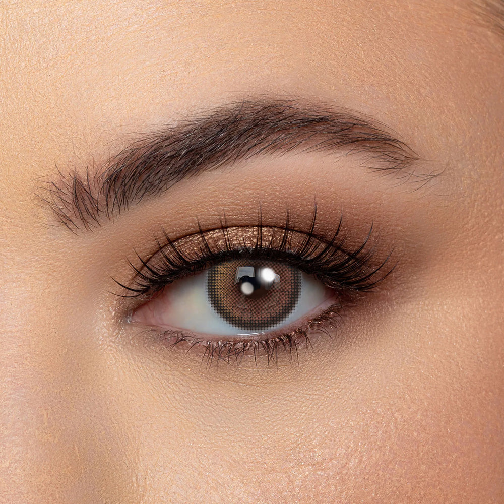 Coloredeyes Contact Lenses Sunlit Brown Half-year disposable