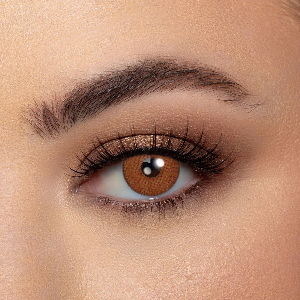 Coloredeyes Contact Lenses Caramel Dusk Half-year disposable Vendor: Coloredeyes