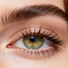 MIIEMO Chocolate Brown – 6 Months