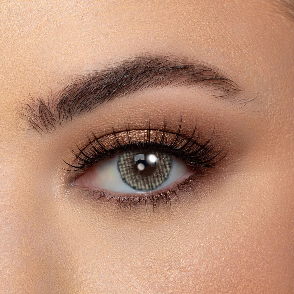 Coloredeyes Baroque Brown | half year