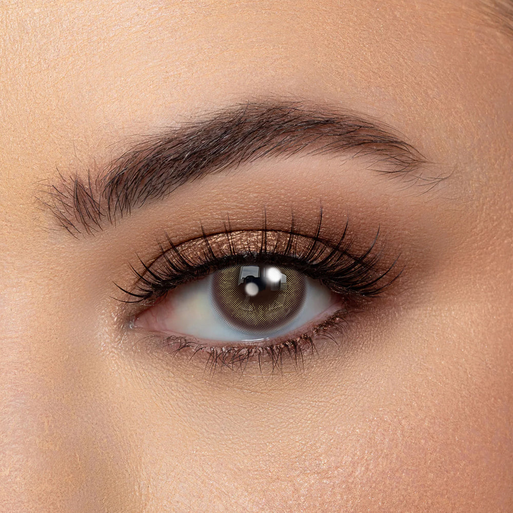 Coloredeyes Contact Lenses Amber Dust Reverie Half-year disposablea