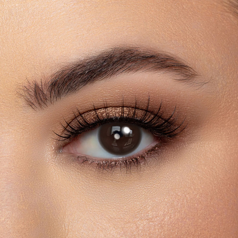 Coloredeyes Cocoa Muse Harmony – 6-Month Chocolate Contact Lenses (14.0mm, BC 8.6)